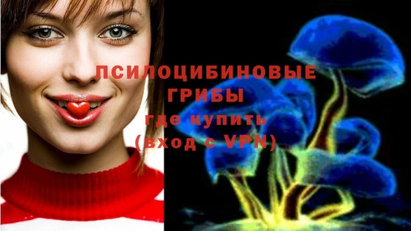 соль ск Волоколамск